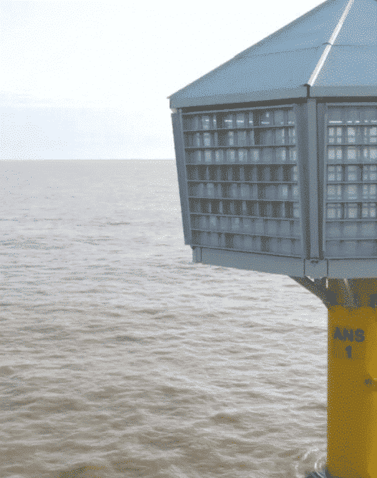 Revolutionary Artificial ‘Bird Nests’ are Being Built in The Ocean