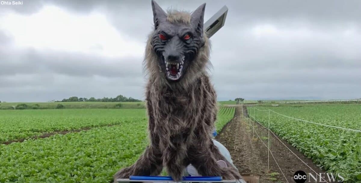 Monster Wolf