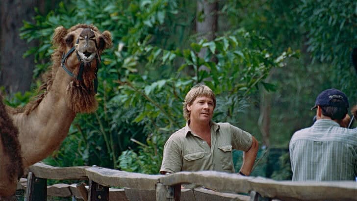 Crikey! Revisiting Steve Irwin&rsquo;s Most Iconic Moments