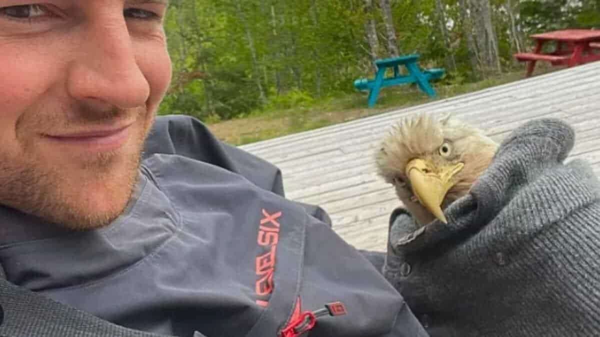 Man Saves Bald Eagle From Drowning
