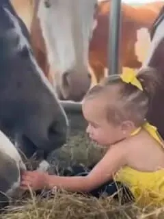 Two-Year-Old Horse Whisperer