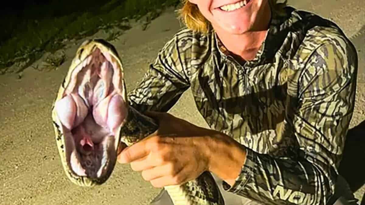 Florida teenager wrangles Python