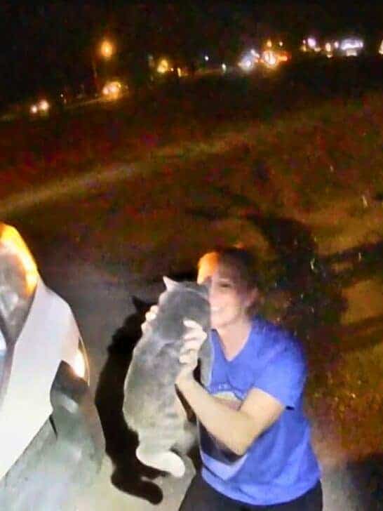 Cop Miraculously Finds Family’s Missing Cat Inside Their Car Engine in Utah
