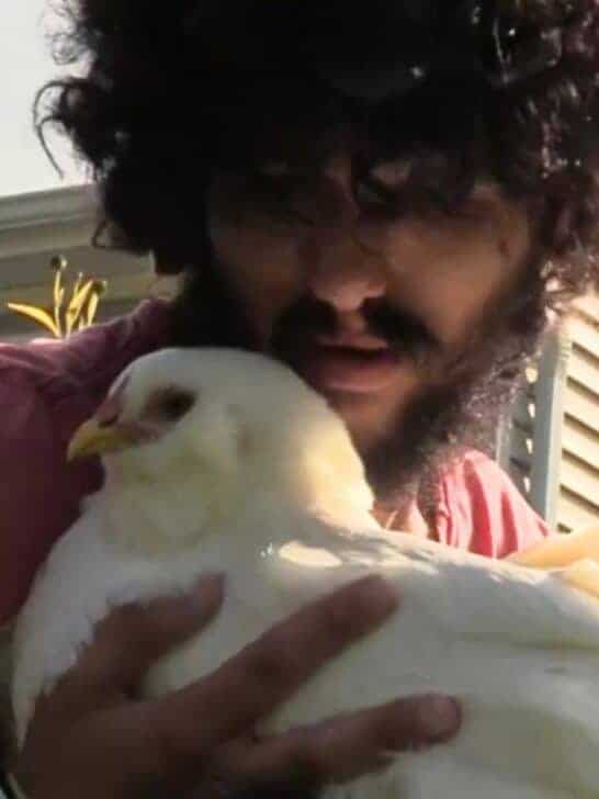 Man Born Without Eyes Wins Legal Twist About Emotional Support Chickens