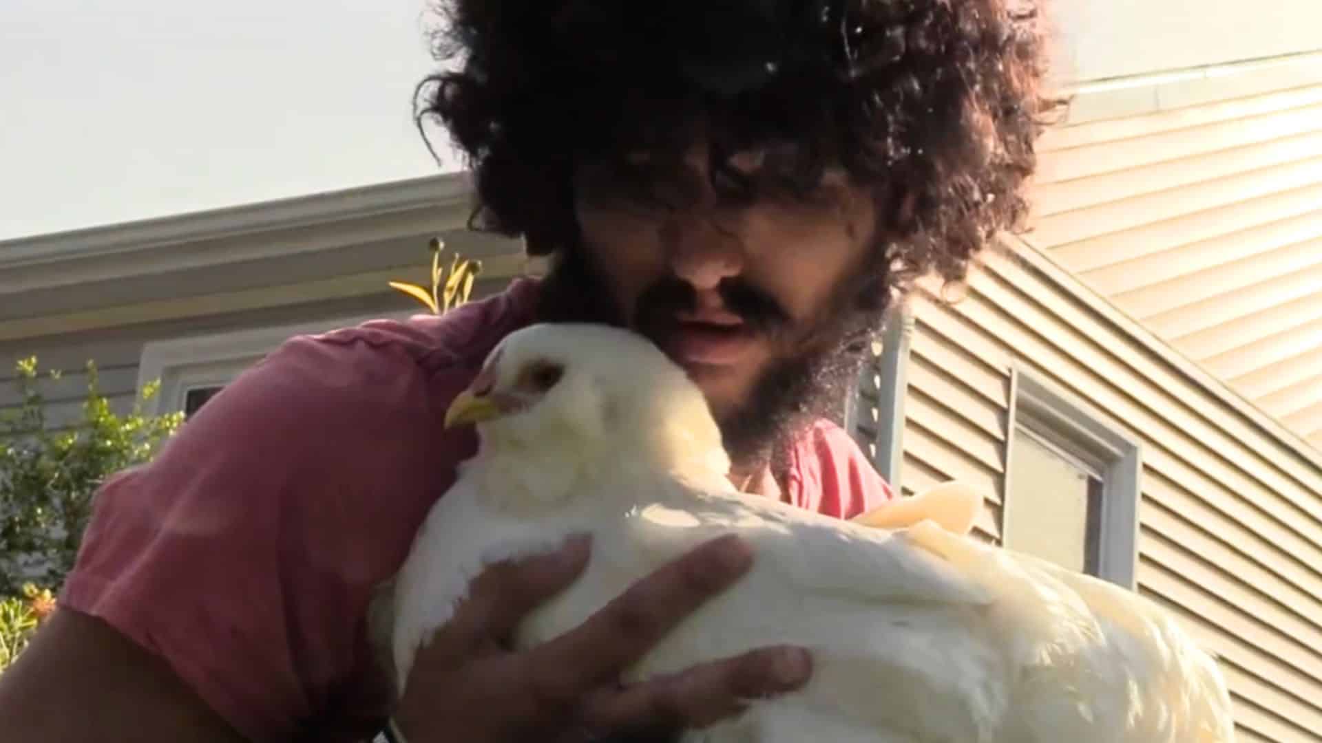 legal twist emotional support chickens