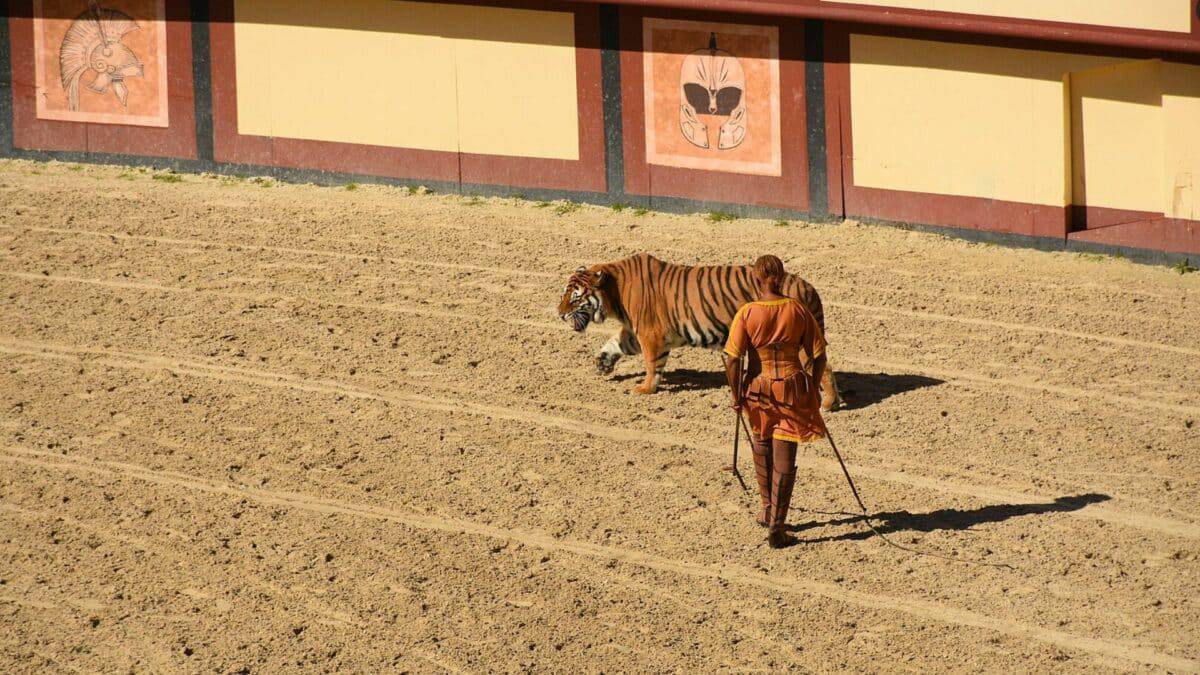brutal animal battles colosseum