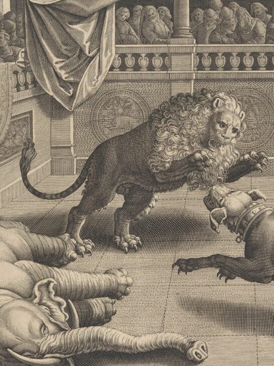 The Brutal Animal Battles Held at Colosseum