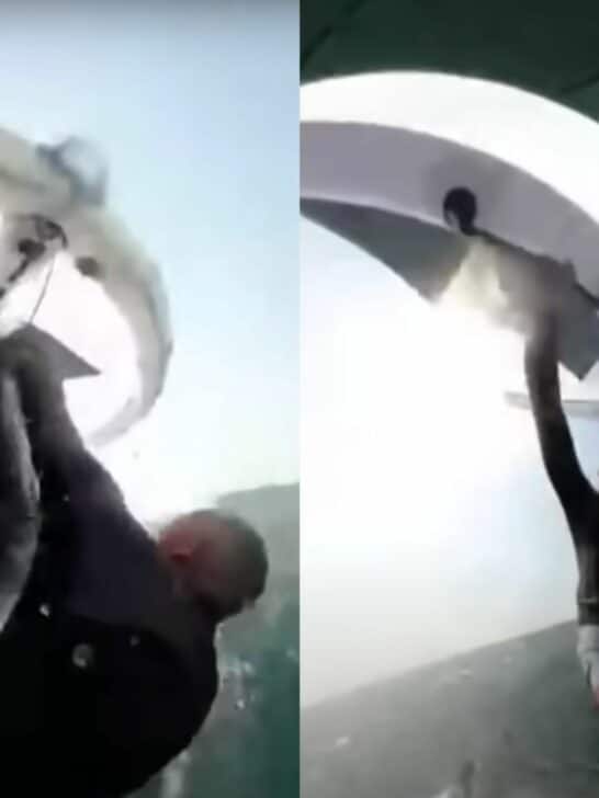 Sydney Surfer Nearly Wiped Out By Breaching Whale (and Catches It All on Camera)