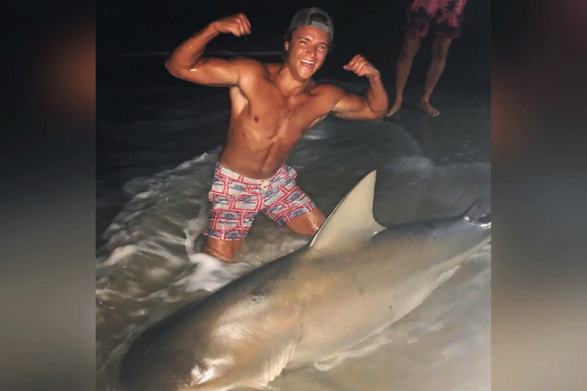 Fisherman Catches Bull Shark New York