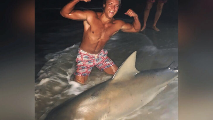 WATCH Fisherman Catches Massive Bull Shark in Long Island, New York