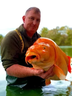 67 pound goldfish