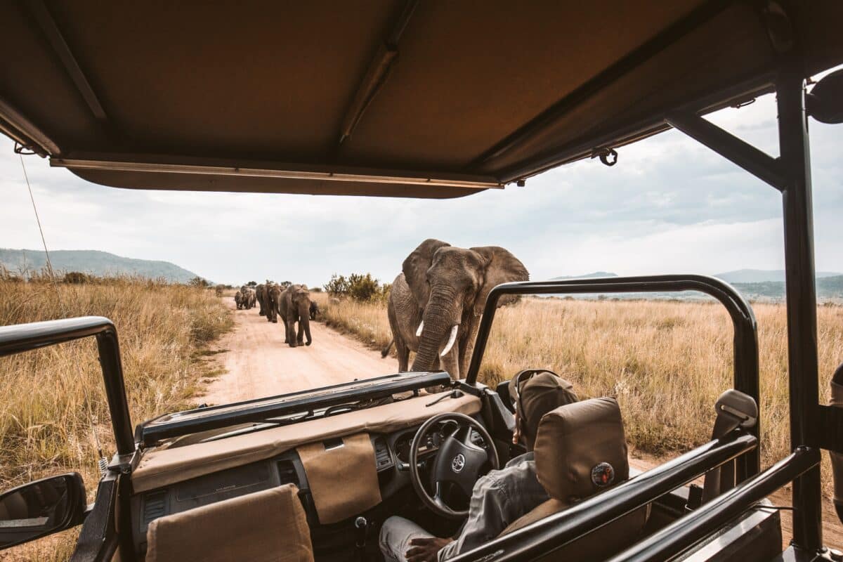 safari afrika top 10