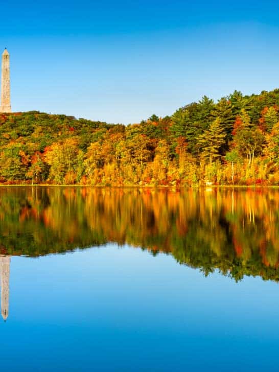 The Garden State: Five Fascinating Animals in New Jersey