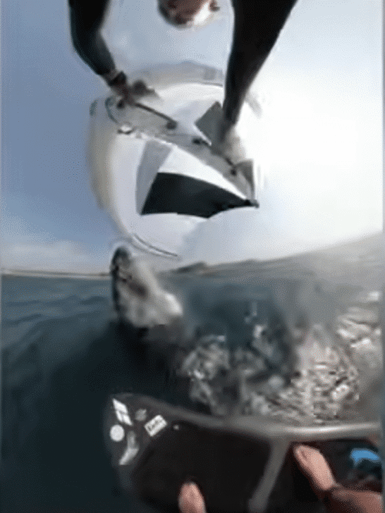 Watch Giant Whale Knock Surfer Off Board