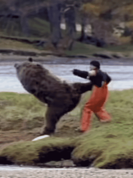 Watch Crazy Video: Man Fights Bear That Knows Kung Fu