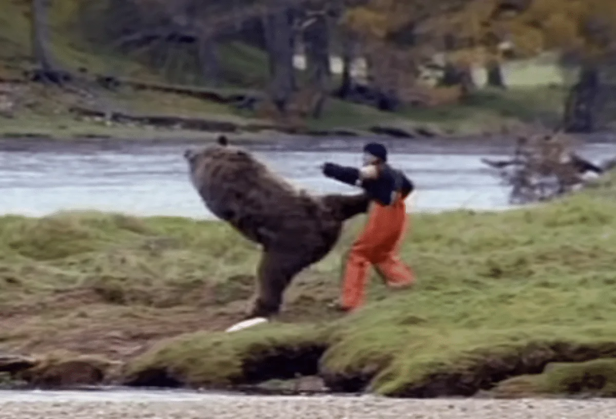 bear knows kung fu