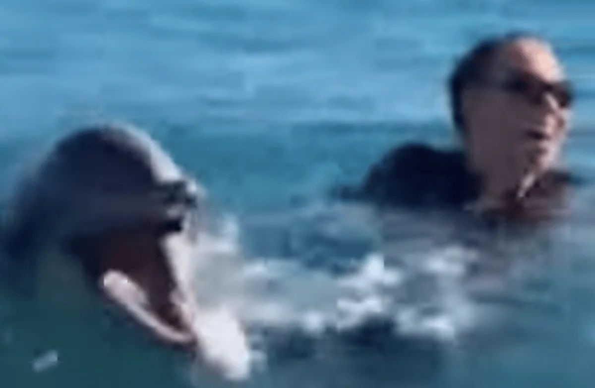 Dolphin and mariah carey