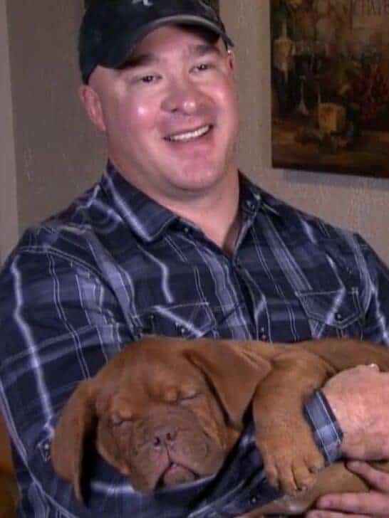 Mechanic Returns Stolen Mastiff Dog to Texas Owner