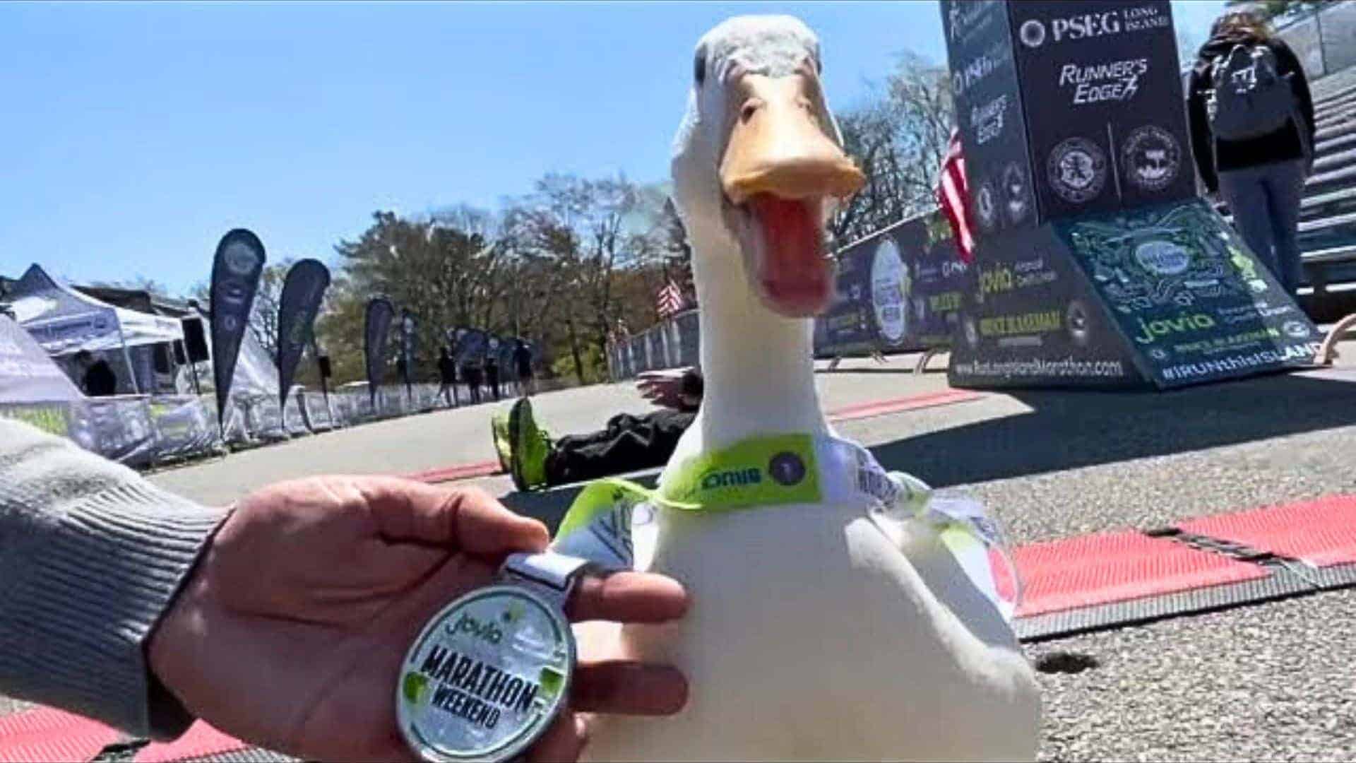 Duck Runs NYC Marathon