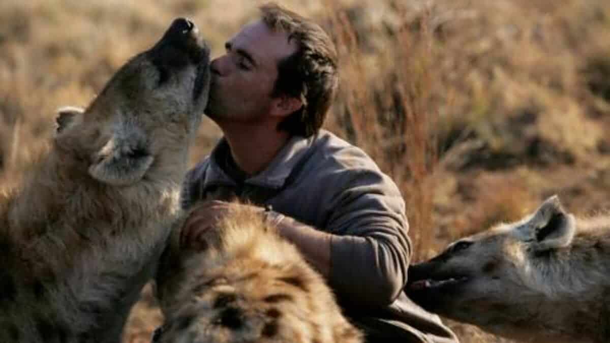 Man Tickles Hyenas