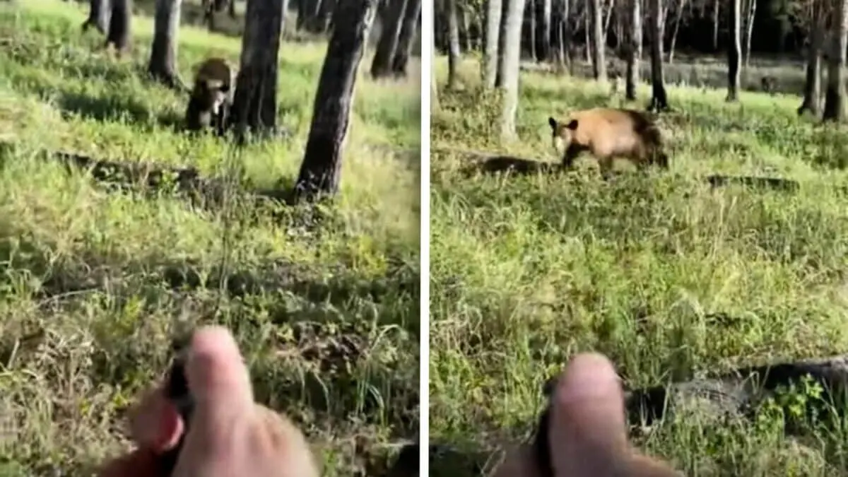 man uses bear spray