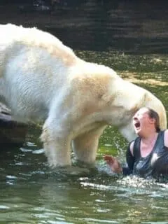 woman jumps into polar bear enclosure