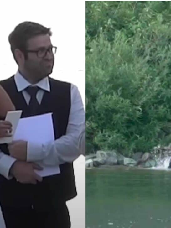 Couple&rsquo;s Wedding Ceremony Gets Interrupted By A Grizzly Bear Taking Down a Moose