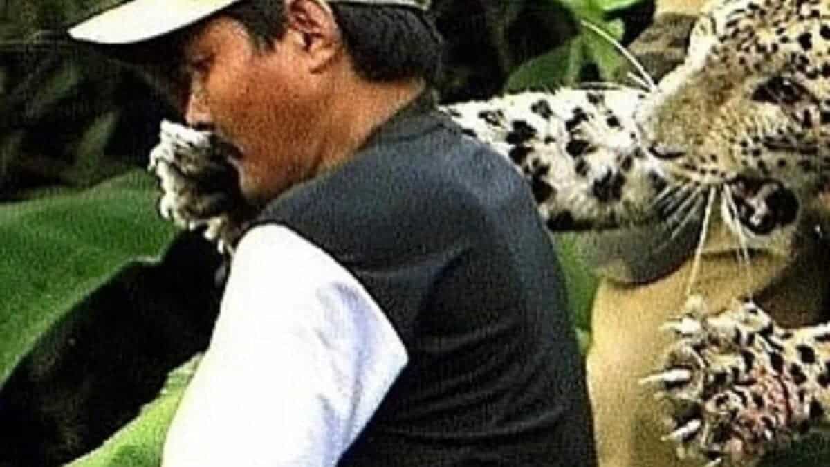leopard attacks forest guard