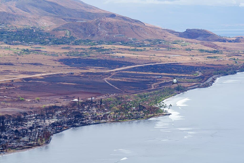 Wildfire Aftermath