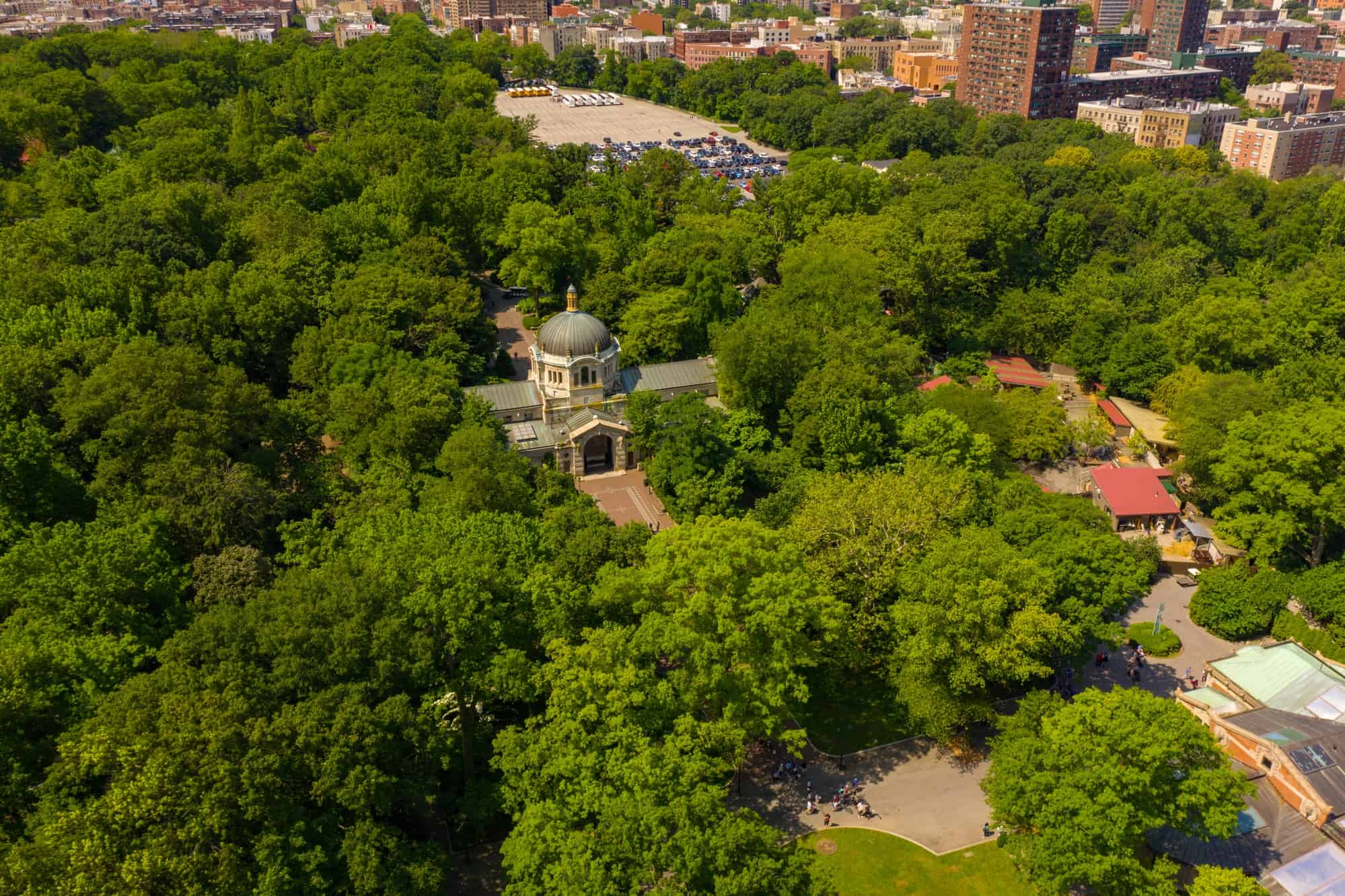 Bronx Zoo