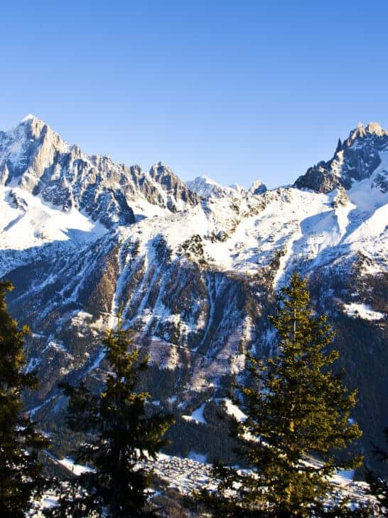 Enchanting Wildlife of Europe: A Symphony of Beauty