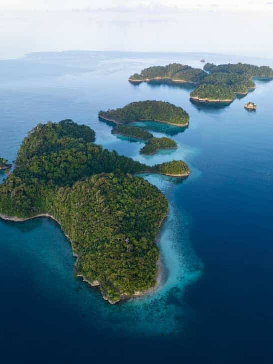 Tropical Species Moving to Warmer Waters Amidst Climate Change