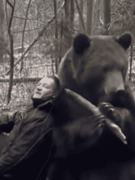 Man Gets Up Close and Personal With a Large Brown Bear