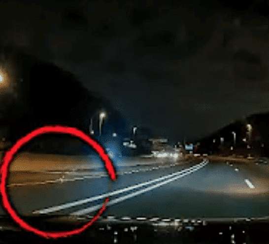 Chihuahua’s Highway Adventure: Watch As Motorists Shield It from Traffic