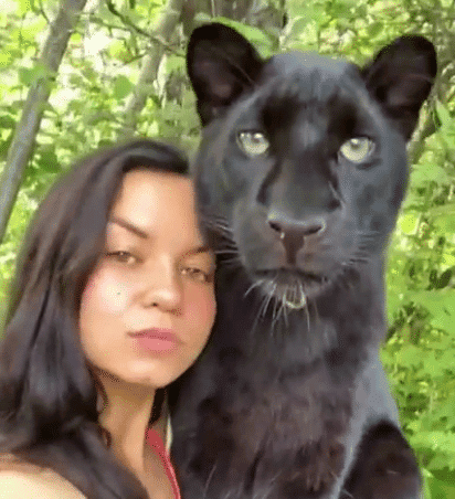 Woman Accidentally Raises Panther Alongside Her Rottweiler