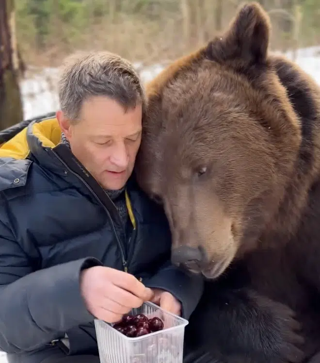 'Bear-y' Delicious Moment Shared Between Man And Bear