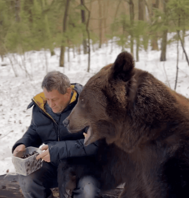 'Bear-y' Delicious Moment Shared Between Man And Bear