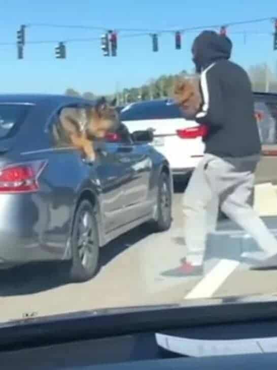 Video of a man getting out of the car with his puppy goes viral due to the adorable reason behind it