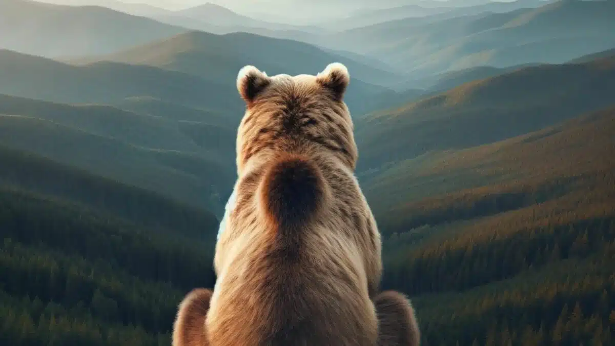 Bears have a Sense of Beauty