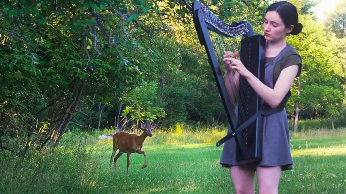 Deer and Harp Create a Disney Fairytale Moment