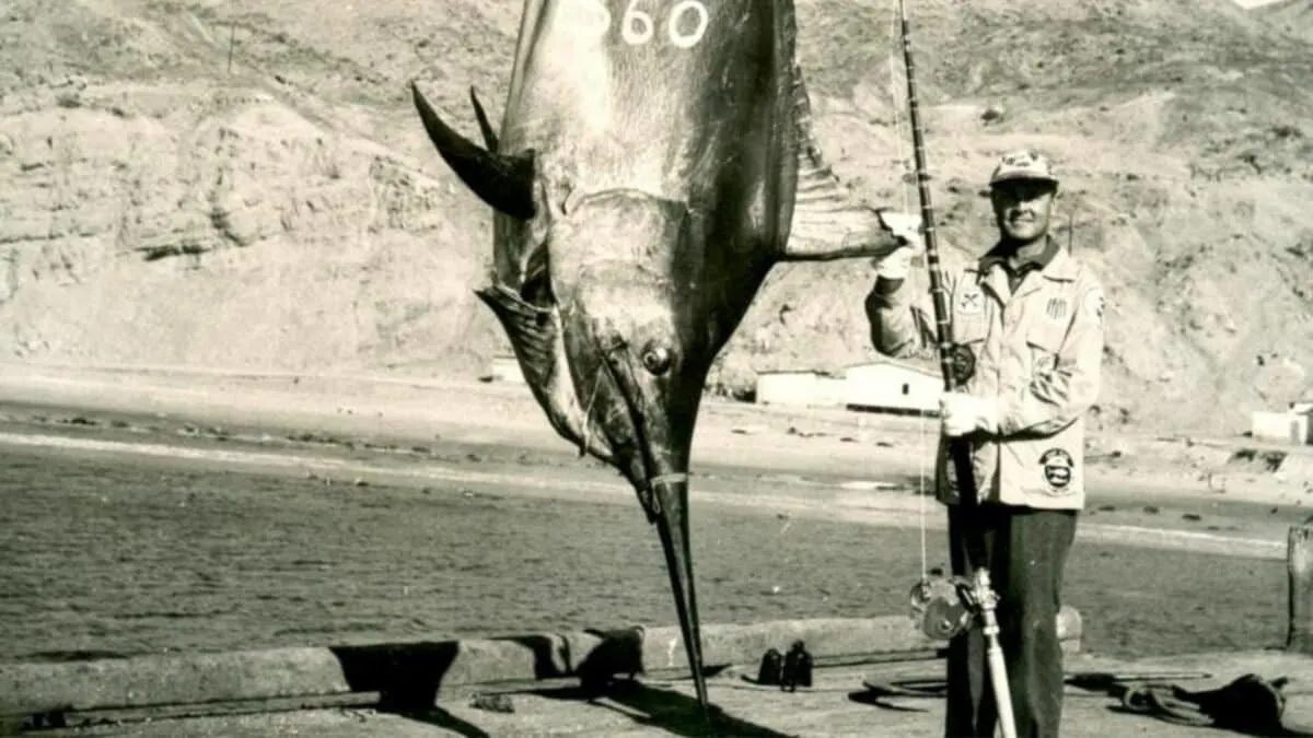 records of the biggest fish ever caught