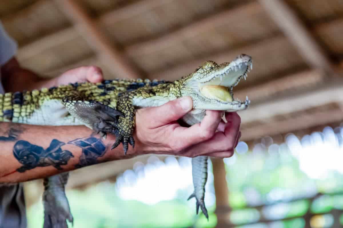 Zoo Miami