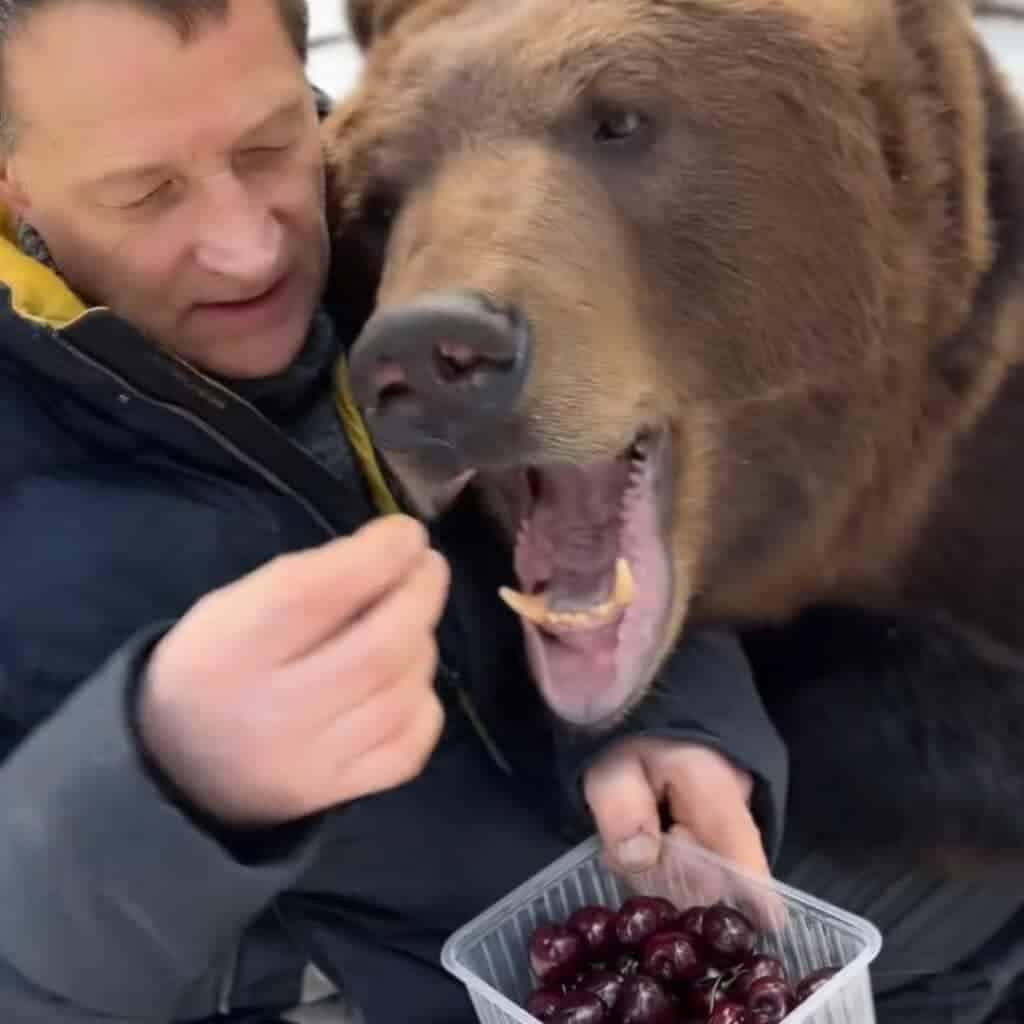 Man Shares Cherries with Bear