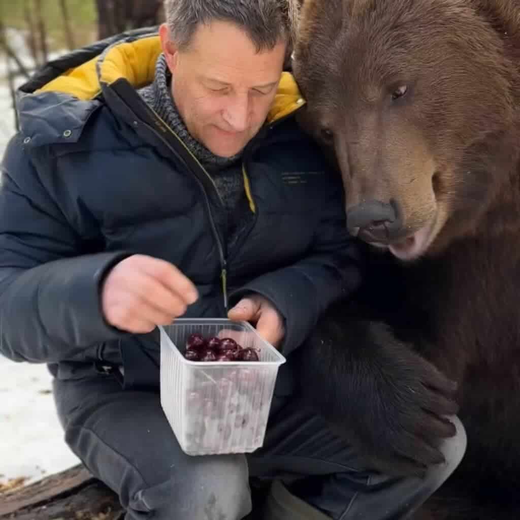 Man Shares Cherries with Bear