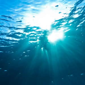 11 Strangest Deep-Sea Creatures You Can Imagine