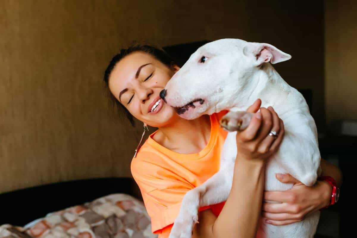 Cute girl petting her dog. Licsiren/ Depsitphotos