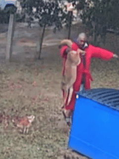 Man Grabs Coyote’s Tail to Save Dog’s Life