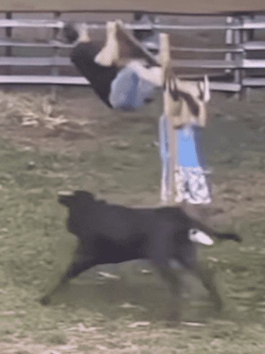 Men Like Being A Target For Bull Charging: One Of The Reasons Women Live Longer Than Men