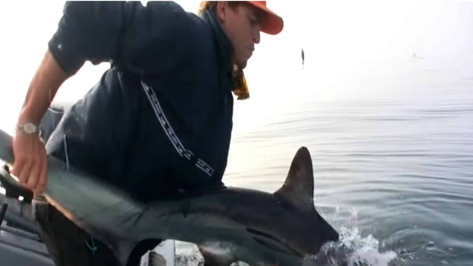 fisherman falls overboard with shark