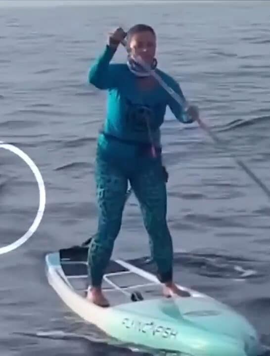 Paddle Boarder Stalked by Shark During Race from Bahamas to Florida